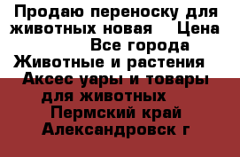 Продаю переноску для животных новая! › Цена ­ 500 - Все города Животные и растения » Аксесcуары и товары для животных   . Пермский край,Александровск г.